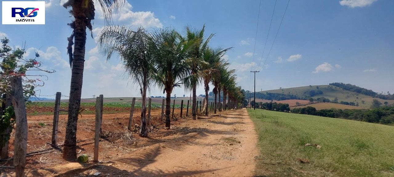 Sítio à venda com 2 quartos, 266400m² - Foto 9
