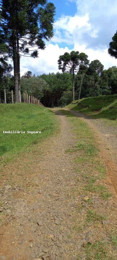 Terreno à venda - Foto 20