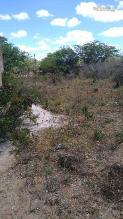 Terreno à venda, 360M2 - Foto 3