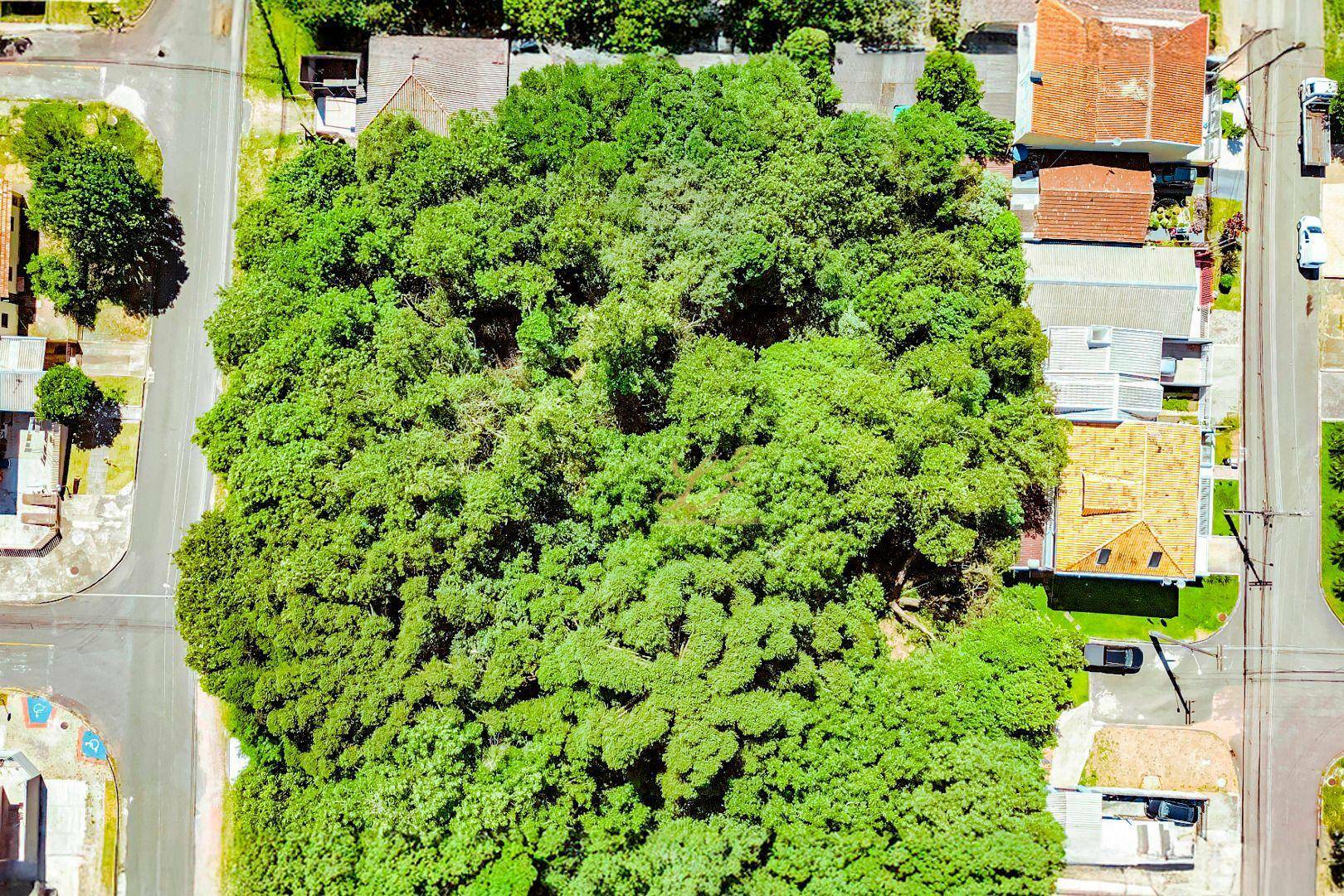 Terreno à venda, 2189M2 - Foto 50
