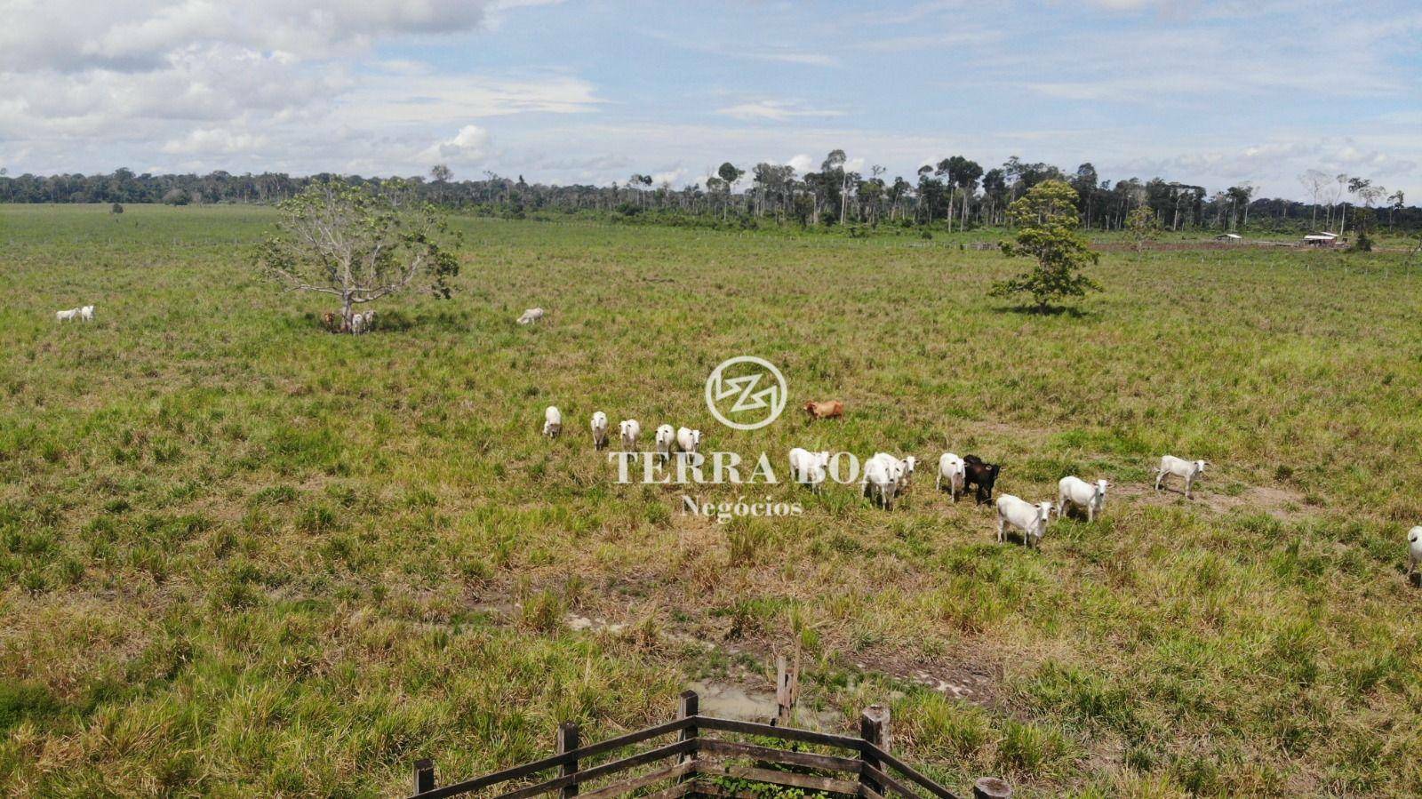 Fazenda à venda, 1500400M2 - Foto 3