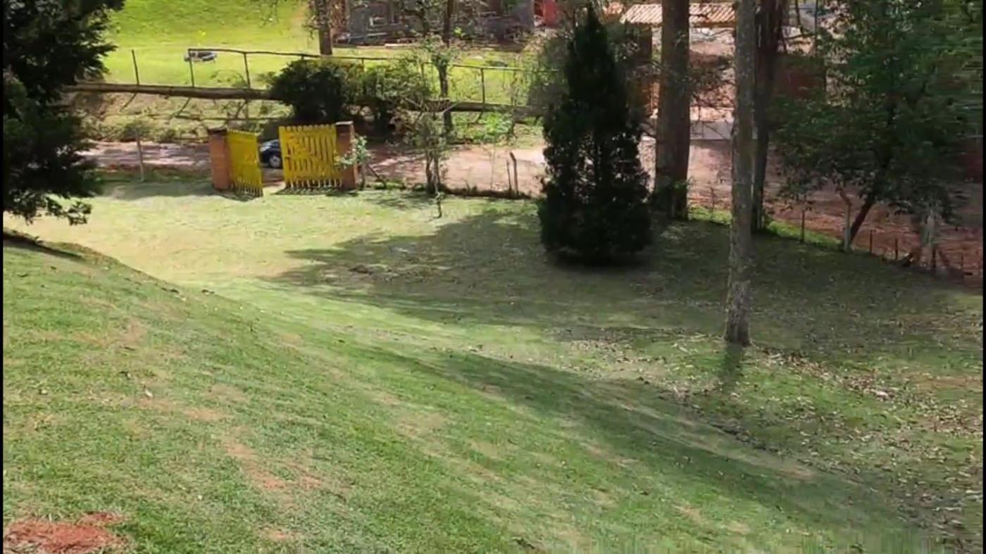 Terreno à venda, 5000m² - Foto 7