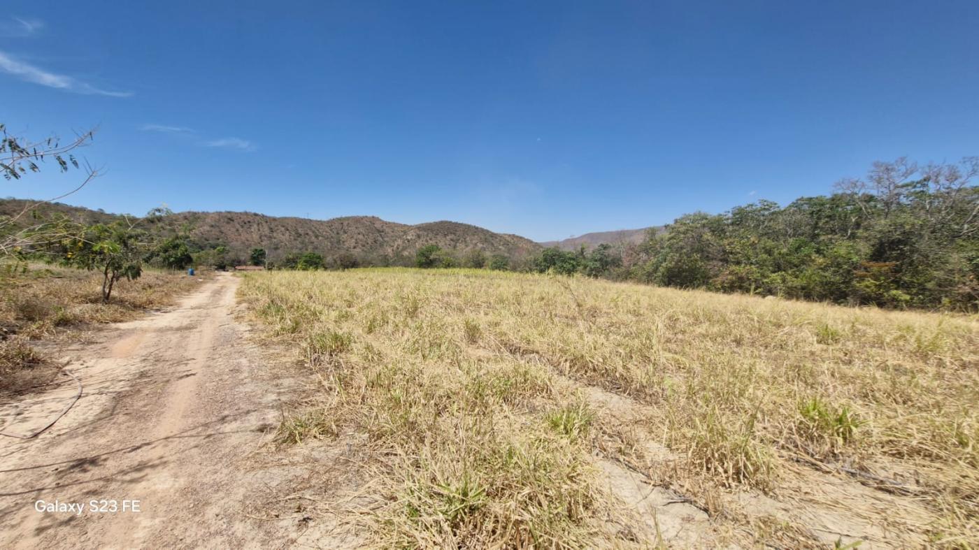 Fazenda à venda com 4 quartos, 1180000m² - Foto 12