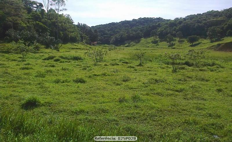 Sítio à venda com 2 quartos, 240000m² - Foto 10