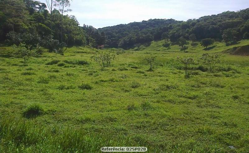 Fazenda à venda com 2 quartos, 240000m² - Foto 10