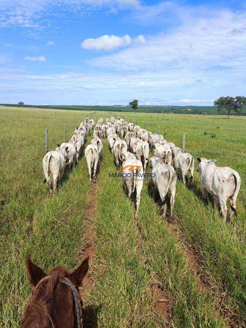 Fazenda à venda, 5420000M2 - Foto 2