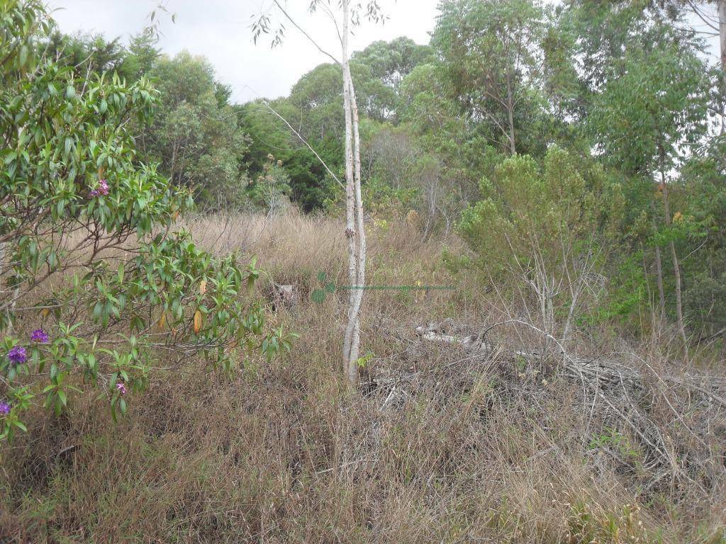 Loteamento e Condomínio à venda, 1024M2 - Foto 29