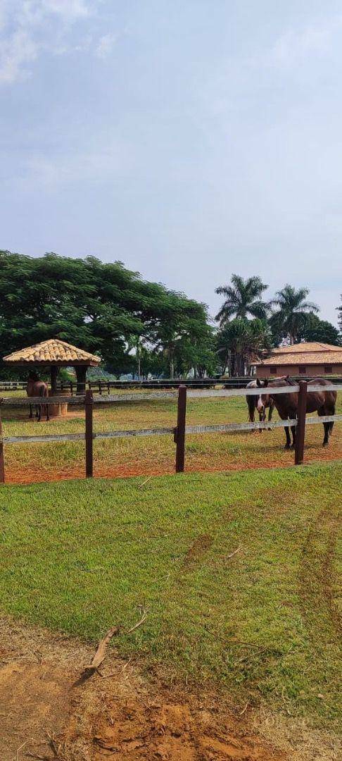 Fazenda-Sítio-Chácara, 136 hectares - Foto 7