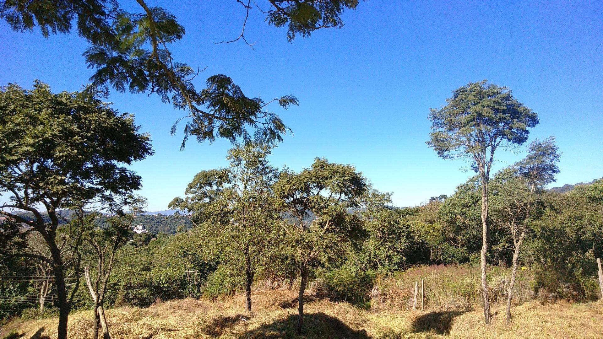 Terreno à venda, 27240M2 - Foto 3