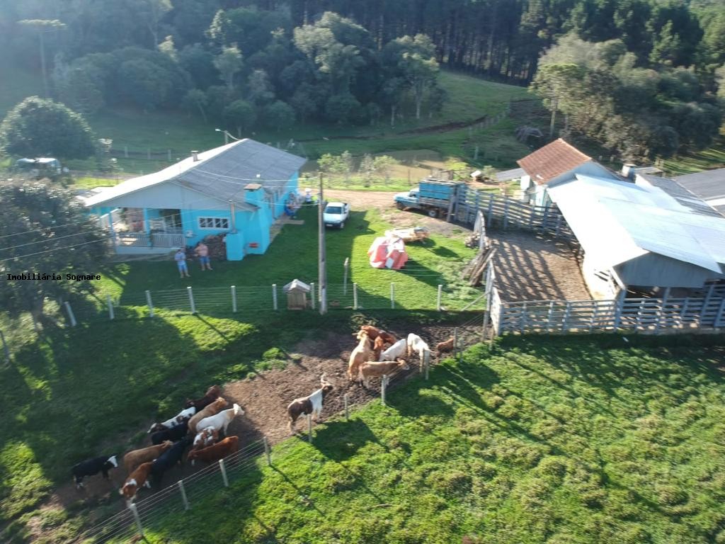 Terreno à venda - Foto 4