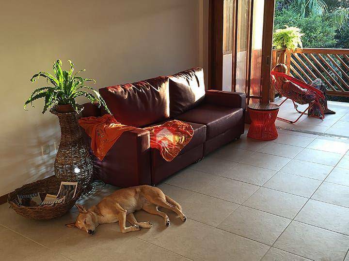 Apartamento à venda com 1 quarto, 74m² - Foto 6
