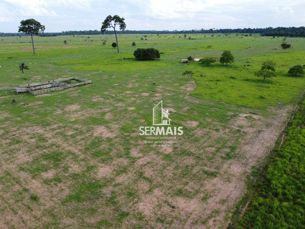 Fazenda-Sítio-Chácara, 305 hectares - Foto 4