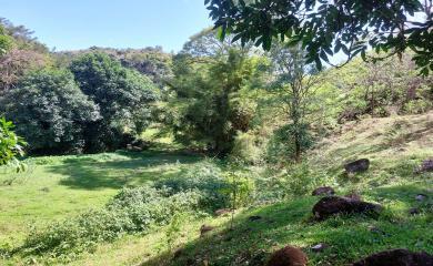 Fazenda à venda com 3 quartos, 200000m² - Foto 14