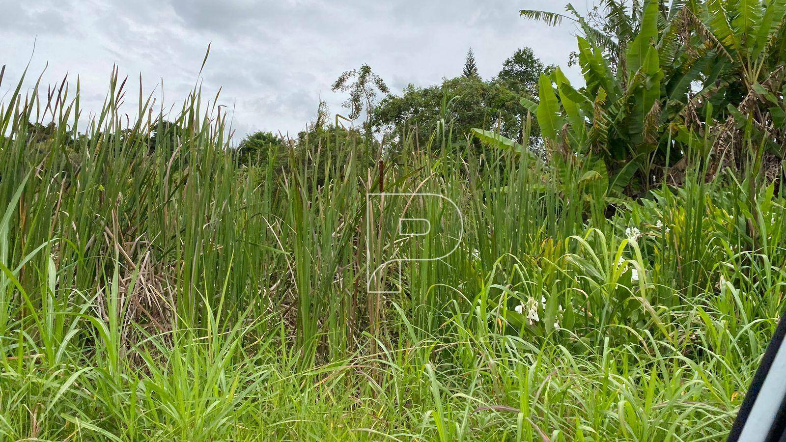 Loteamento e Condomínio à venda, 800M2 - Foto 8