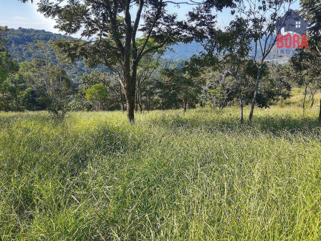 Terreno à venda, 1000M2 - Foto 1