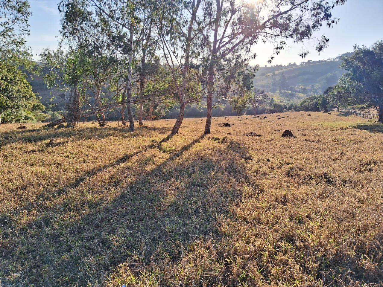 Fazenda à venda, 36000m² - Foto 8