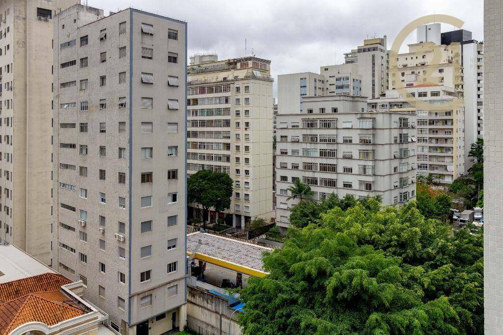 Apartamento à venda com 3 quartos, 230m² - Foto 23