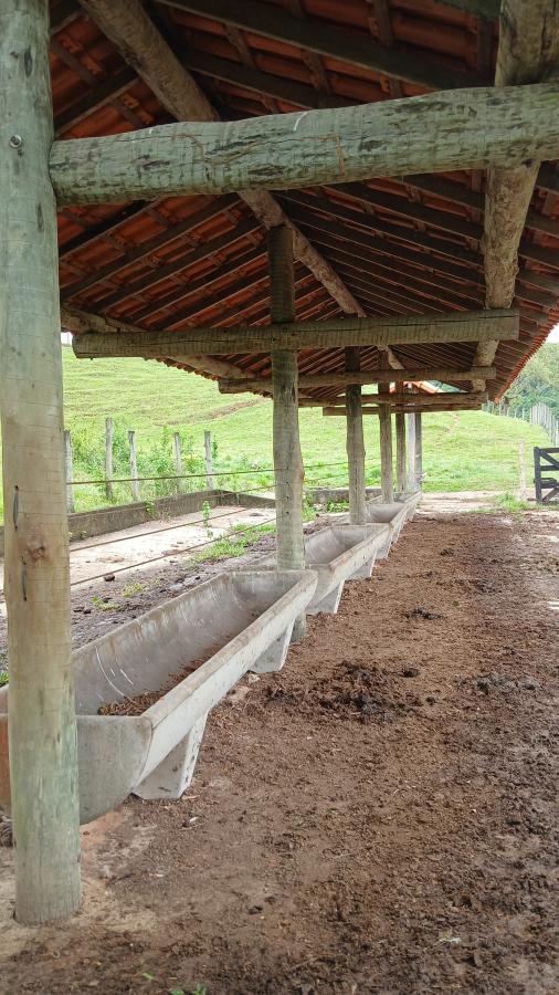 Fazenda à venda com 4 quartos, 19m² - Foto 16