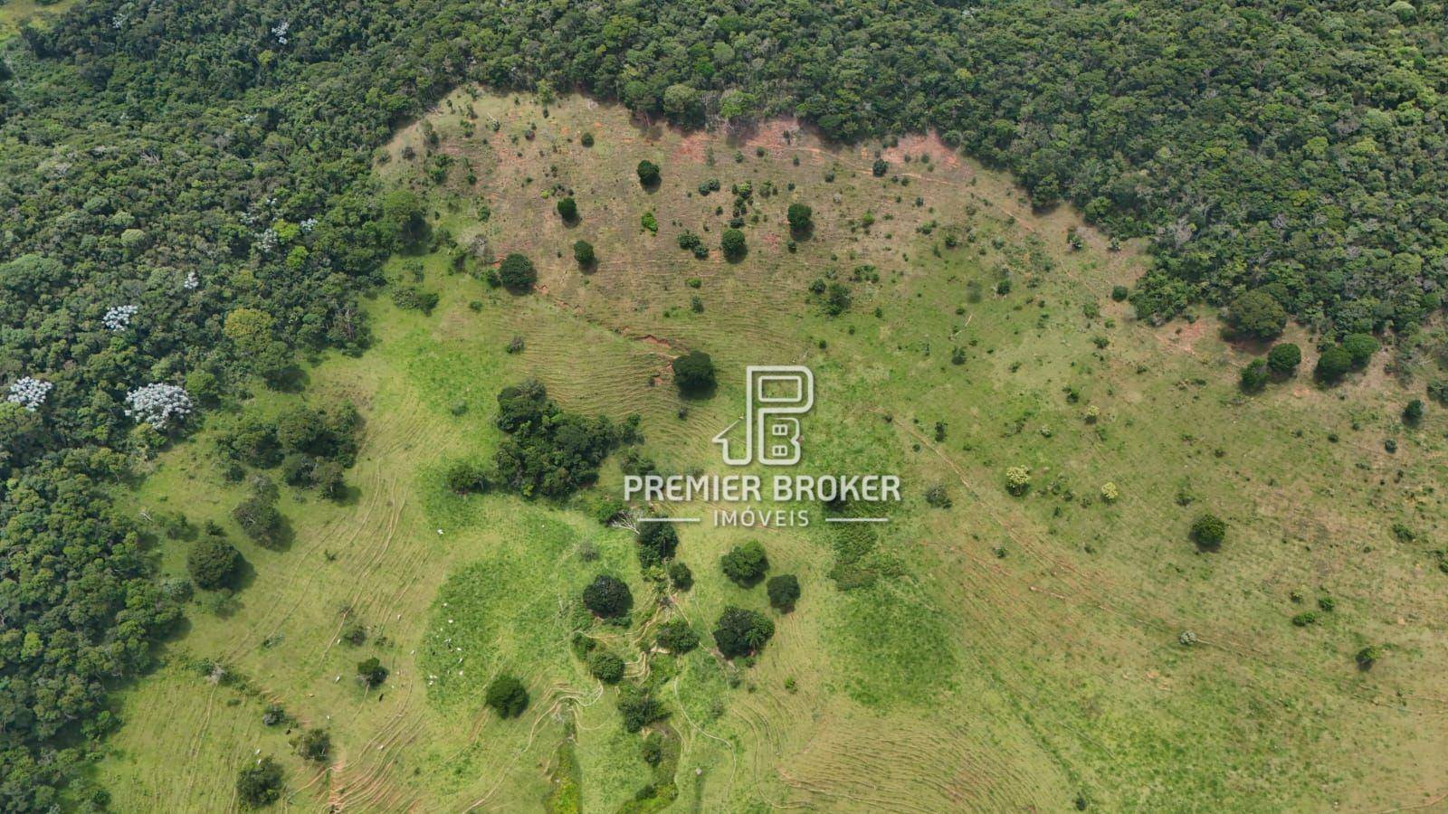 Fazenda à venda com 3 quartos, 250m² - Foto 29