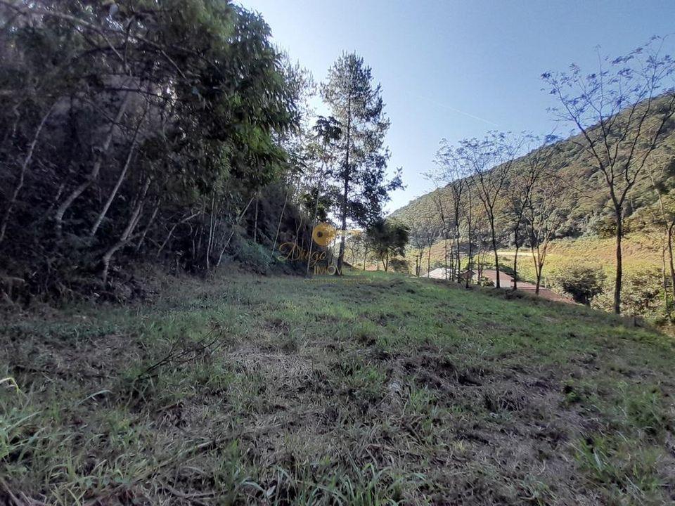 Fazenda à venda com 4 quartos, 29000m² - Foto 60