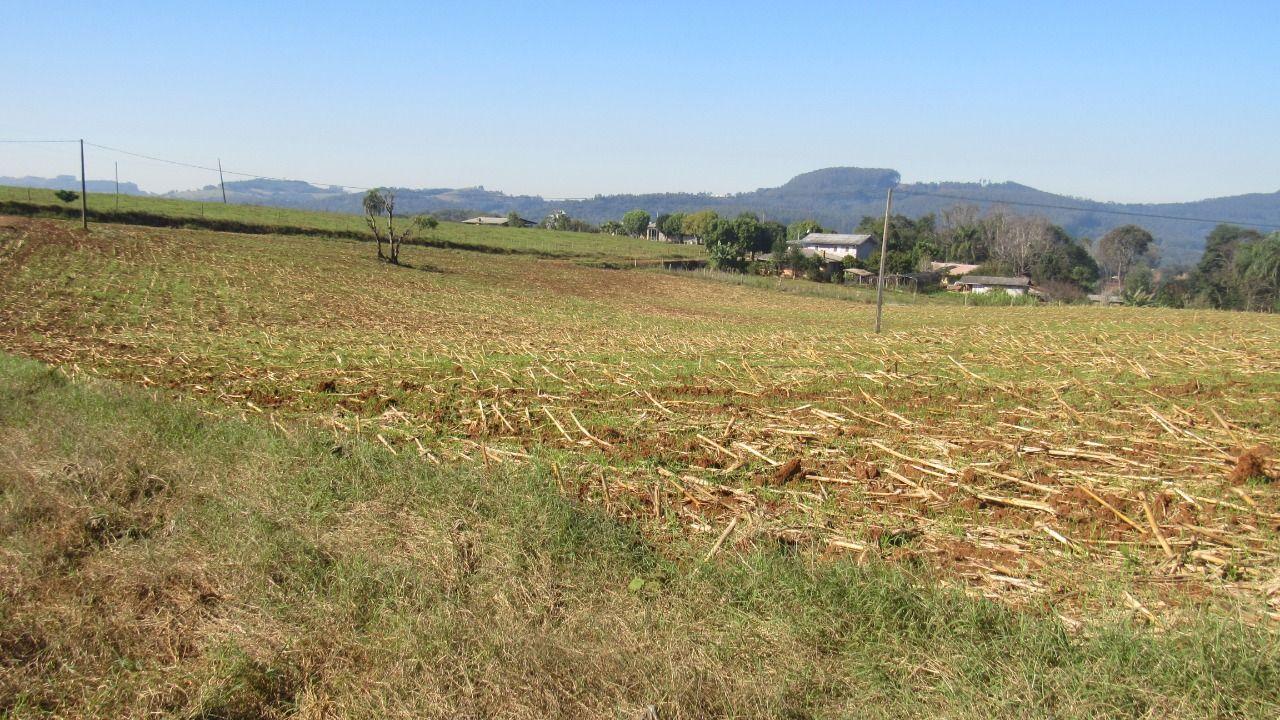 Terreno à venda, 18919m² - Foto 12