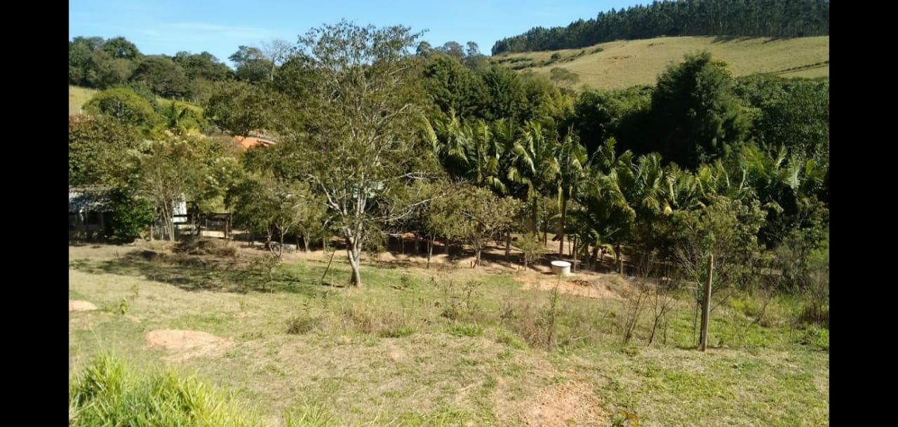 Fazenda à venda com 2 quartos - Foto 17