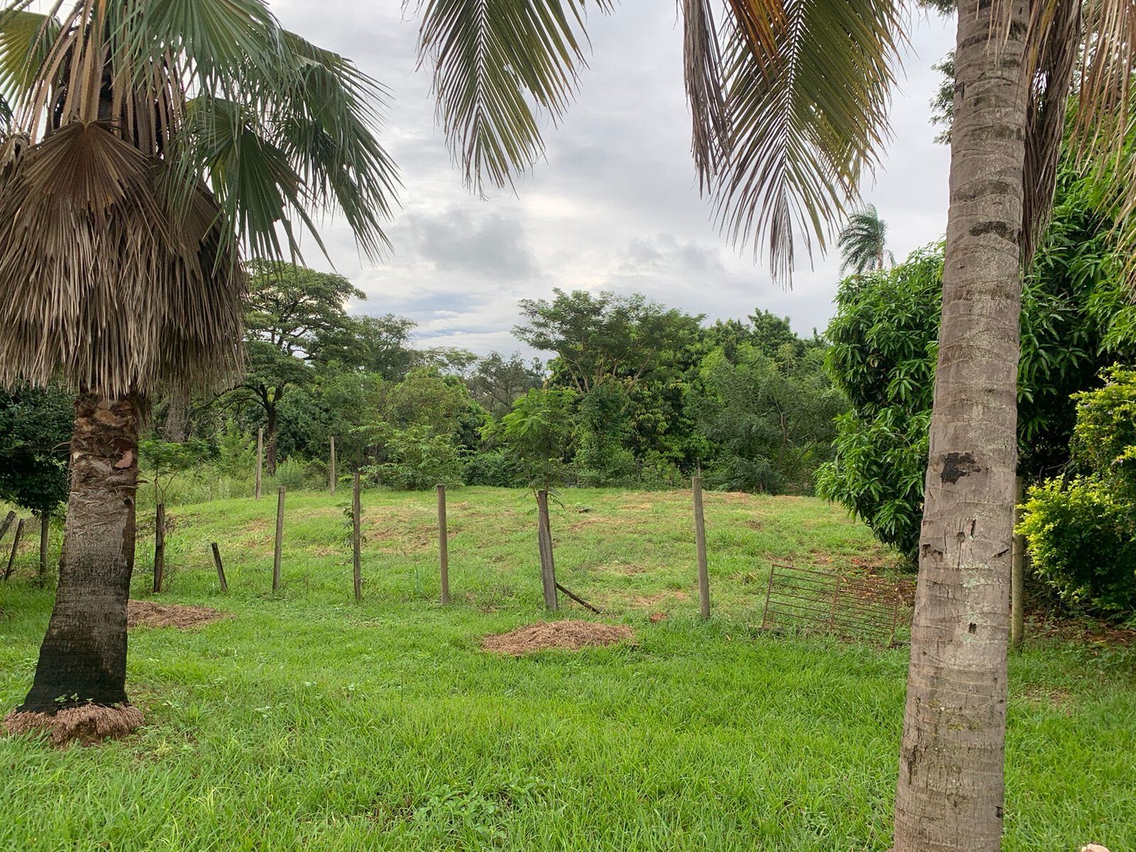 Fazenda à venda com 4 quartos, 5000m² - Foto 22