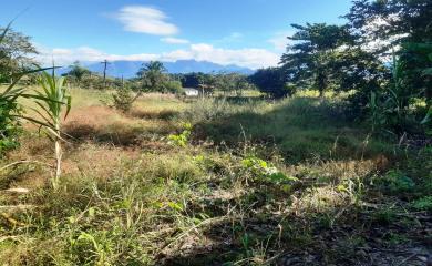 Fazenda à venda com 2 quartos, 18000m² - Foto 3