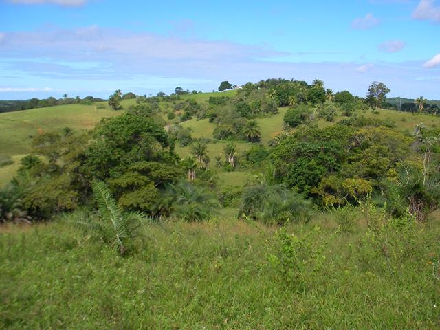 Terreno à venda, 291666m² - Foto 6