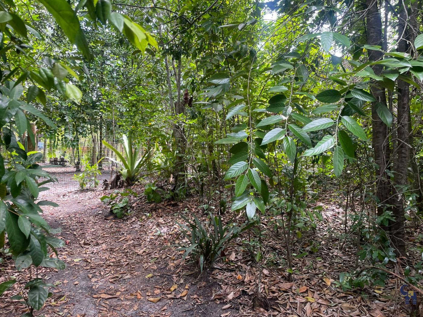 Terreno à venda, 450m² - Foto 11