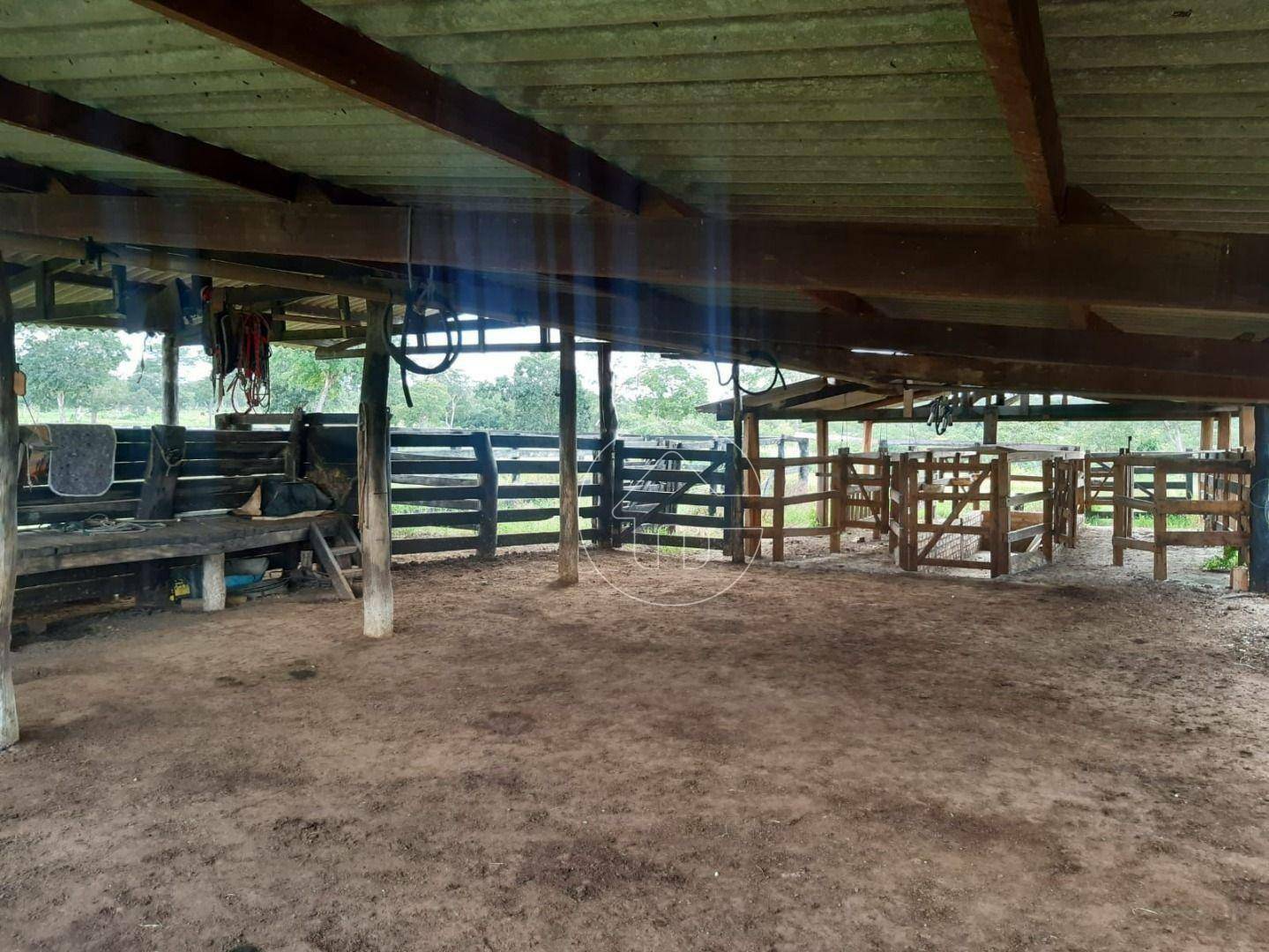 Fazenda à venda, 726000M2 - Foto 14