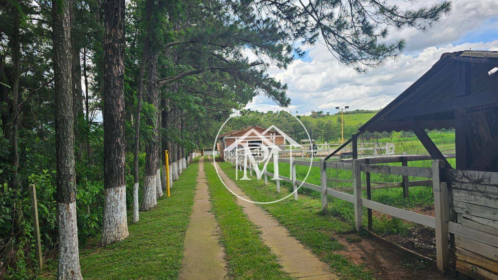 Haras e Área Rural Padrão à venda com 2 quartos, 193600M2 - Foto 20