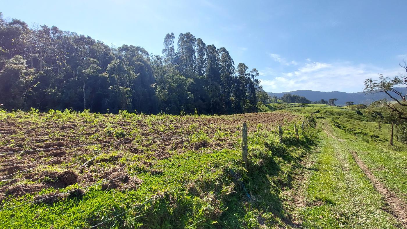 Fazenda à venda com 4 quartos, 101500m² - Foto 41