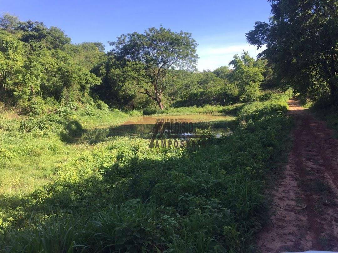 Fazenda à venda, 5469200M2 - Foto 67