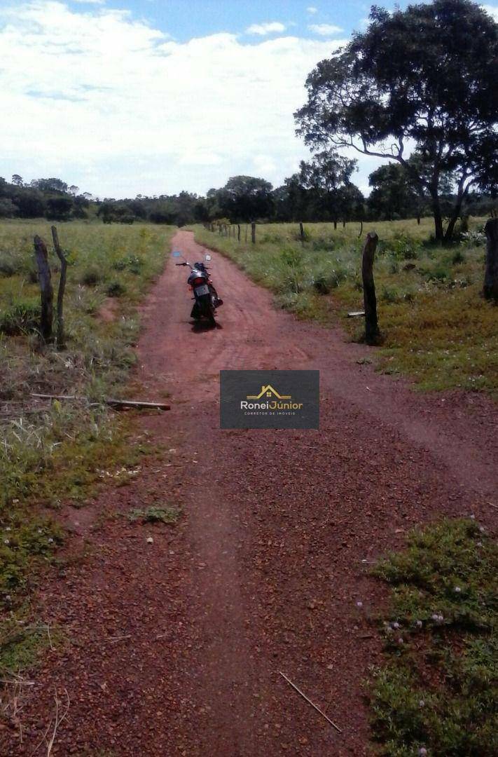 Fazenda à venda com 3 quartos, 968000M2 - Foto 5