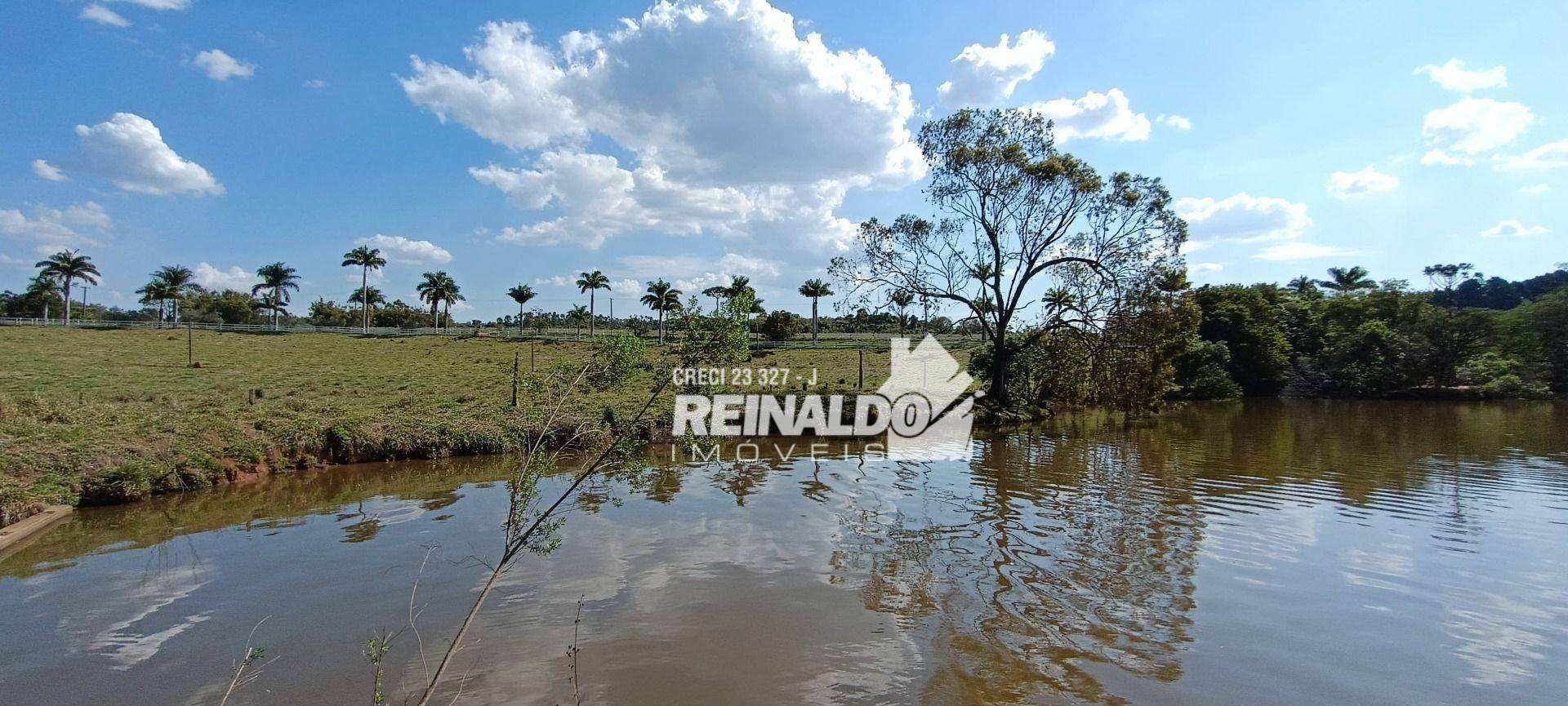 Haras e Área Rural Padrão à venda com 16 quartos, 2500m² - Foto 192