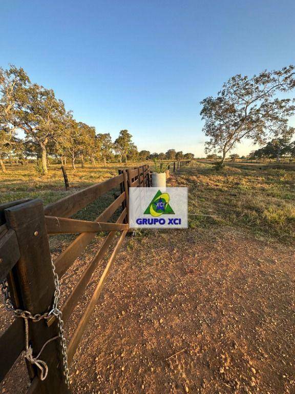 Fazenda à venda, 10120000M2 - Foto 8