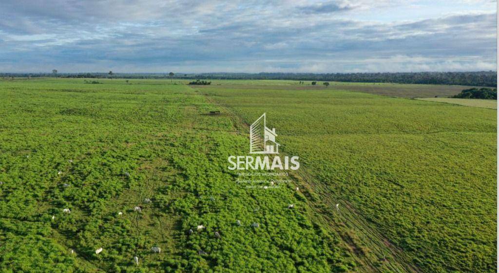 Fazenda à venda com 5 quartos, 23000000M2 - Foto 2