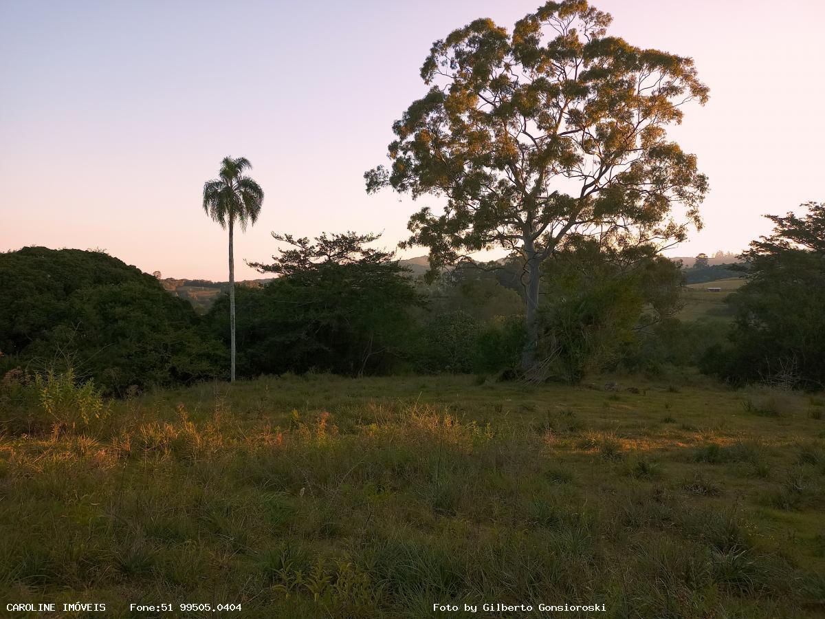 Sítio à venda com 3 quartos, 586000m² - Foto 20