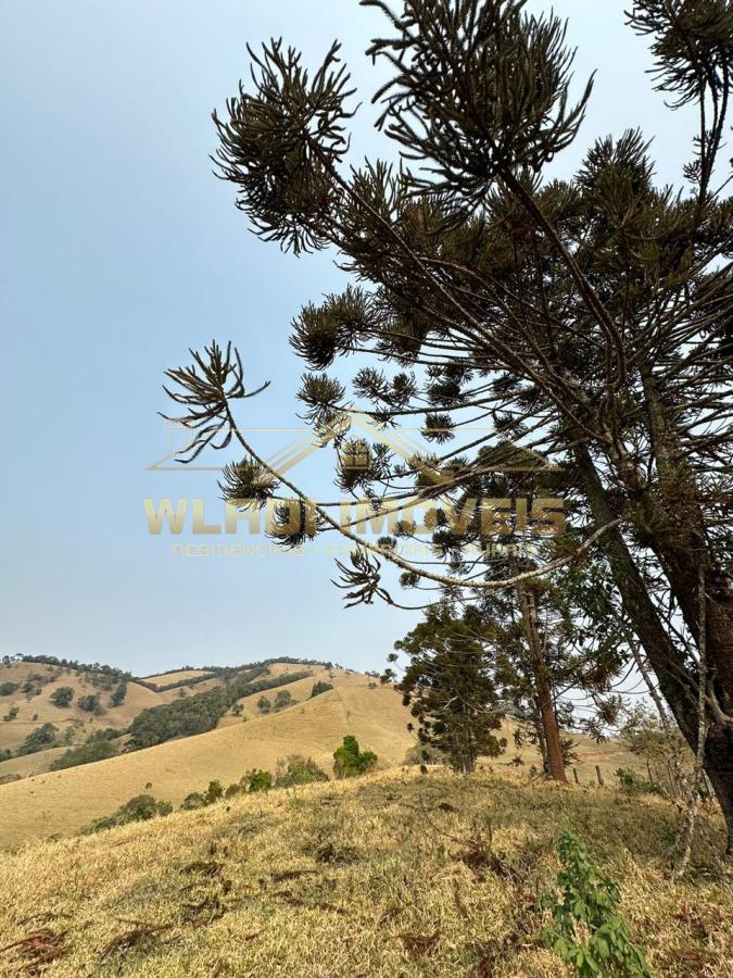 Terreno à venda, 20000m² - Foto 5