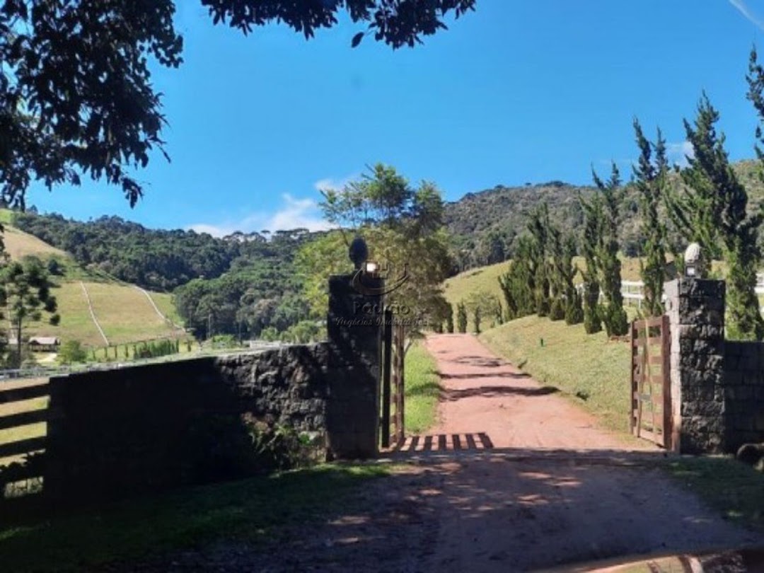 Fazenda à venda com 6 quartos, 1000m² - Foto 8