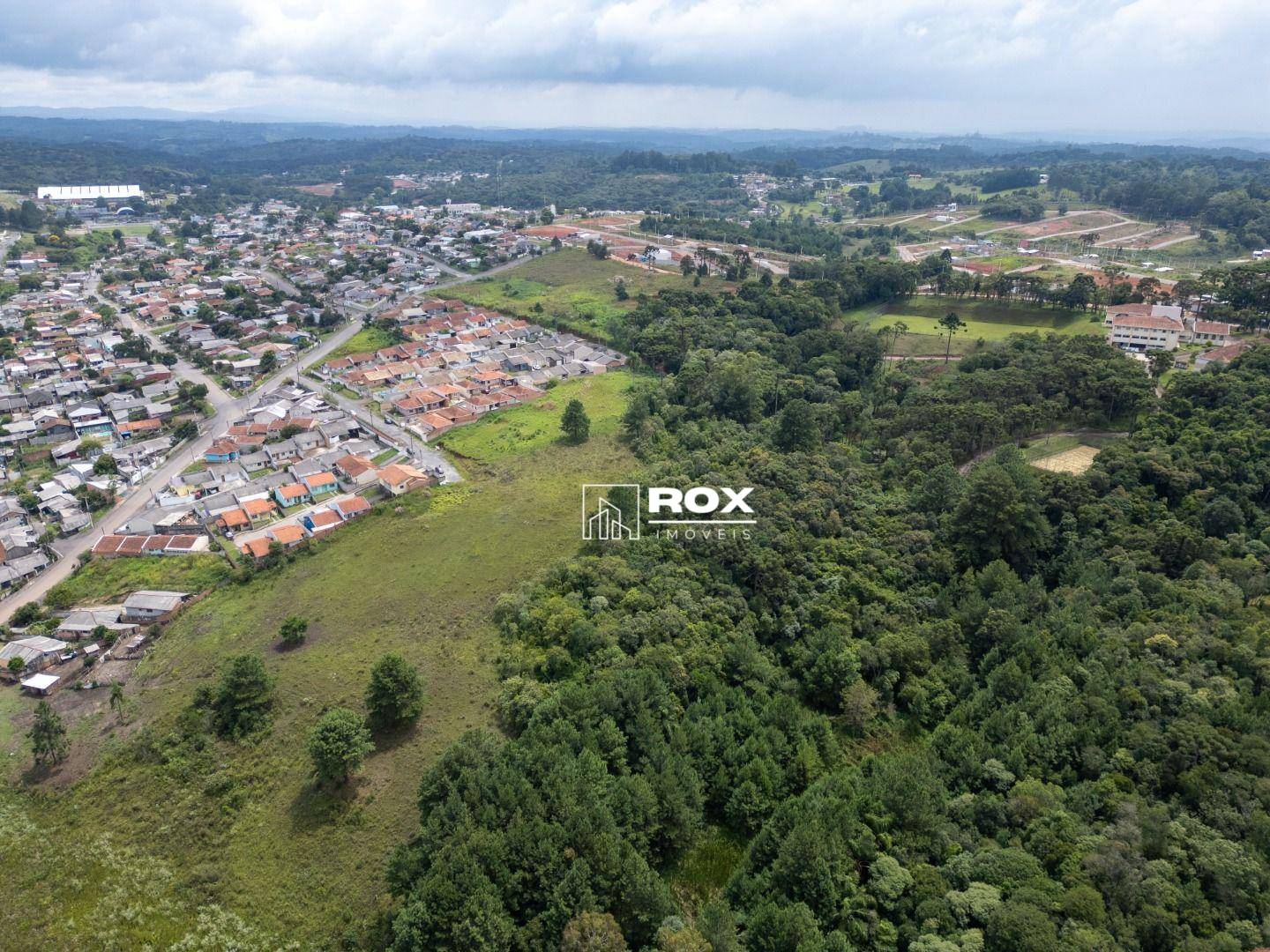 Terreno, 3 hectares - Foto 9