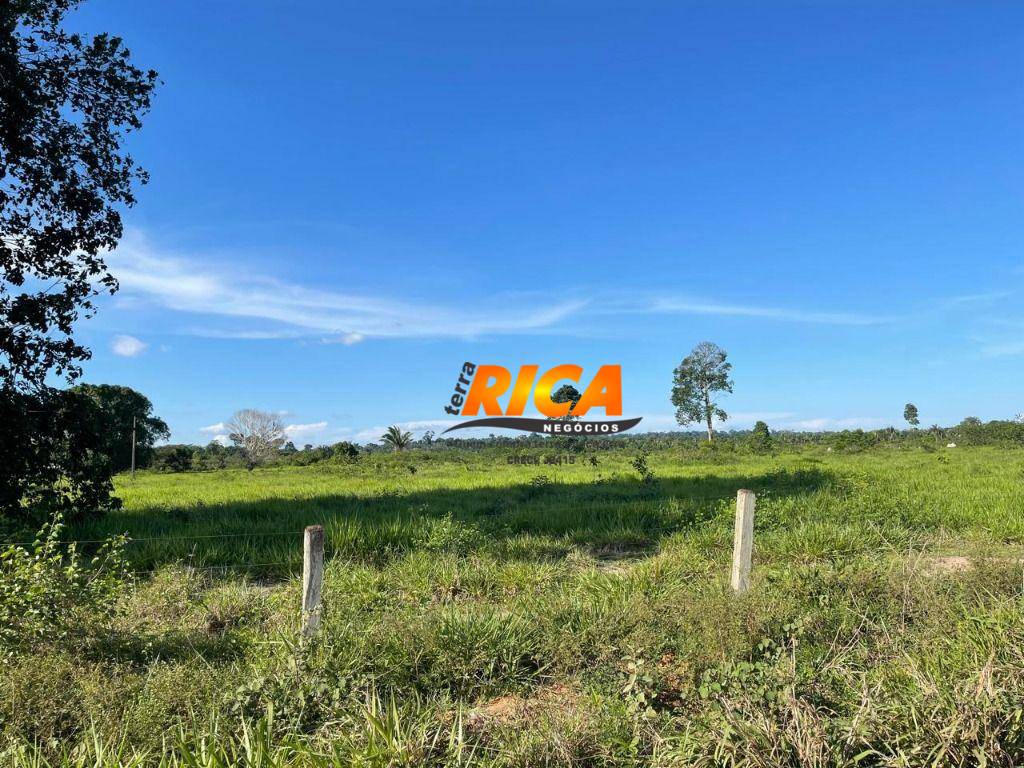 Fazenda, 100 hectares - Foto 3