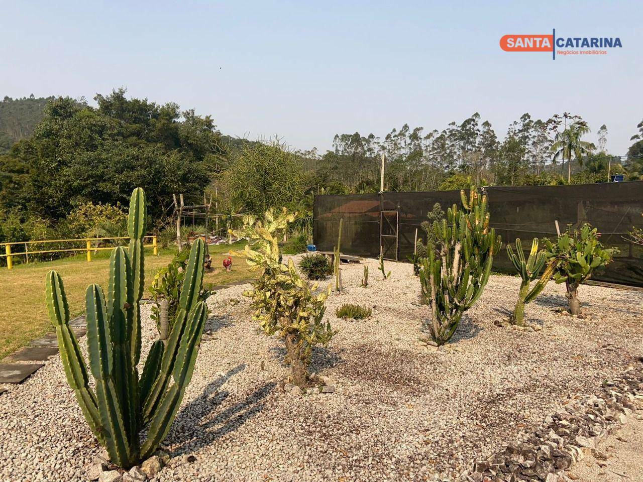 Chácara, 10000 m² - Foto 14