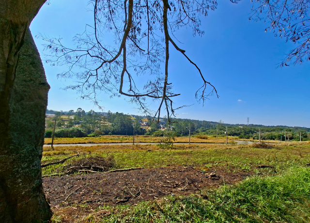 Terreno à venda, 1000m² - Foto 1