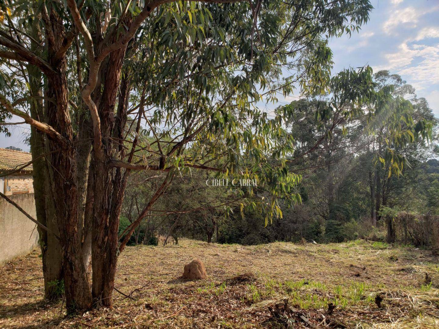 Terreno à venda, 2015M2 - Foto 4