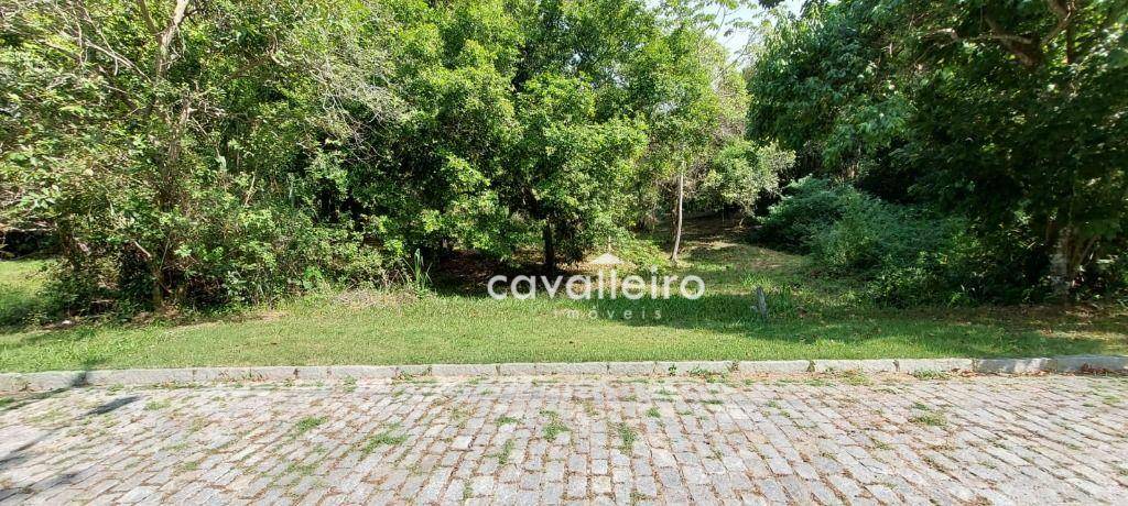 Loteamento e Condomínio à venda, 392M2 - Foto 3