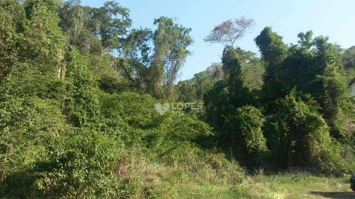 Terreno, 1 hectares - Foto 1