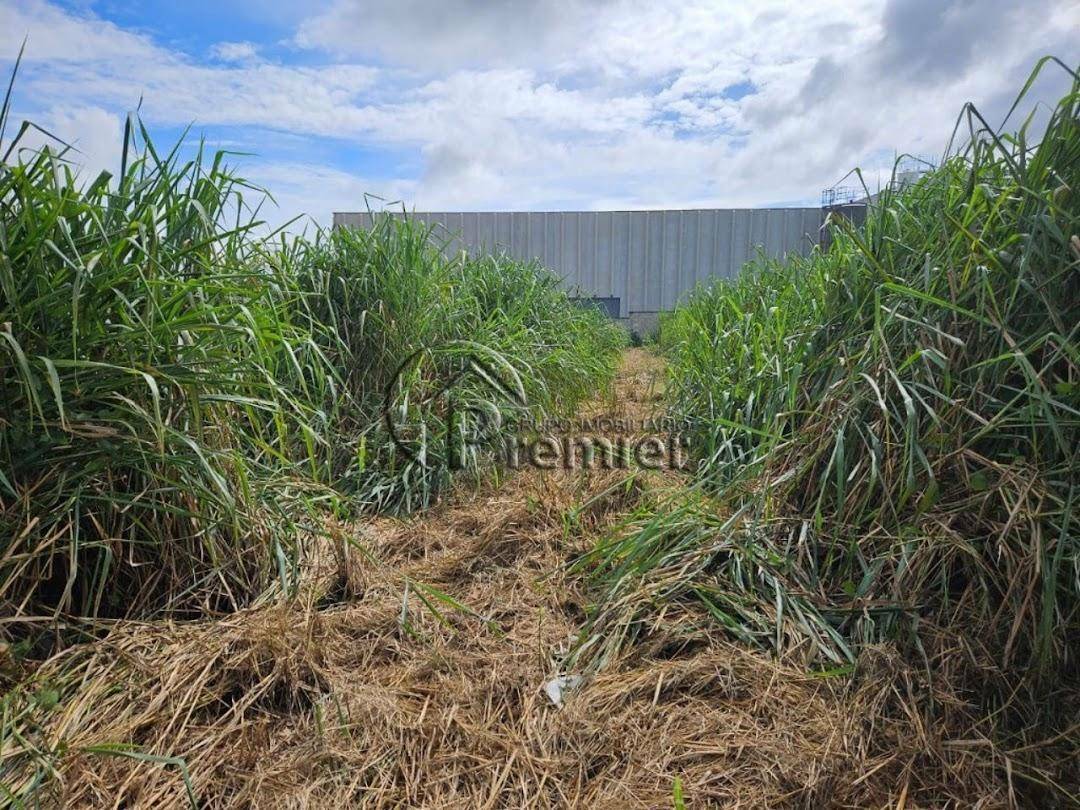 Terreno à venda, 1000M2 - Foto 4