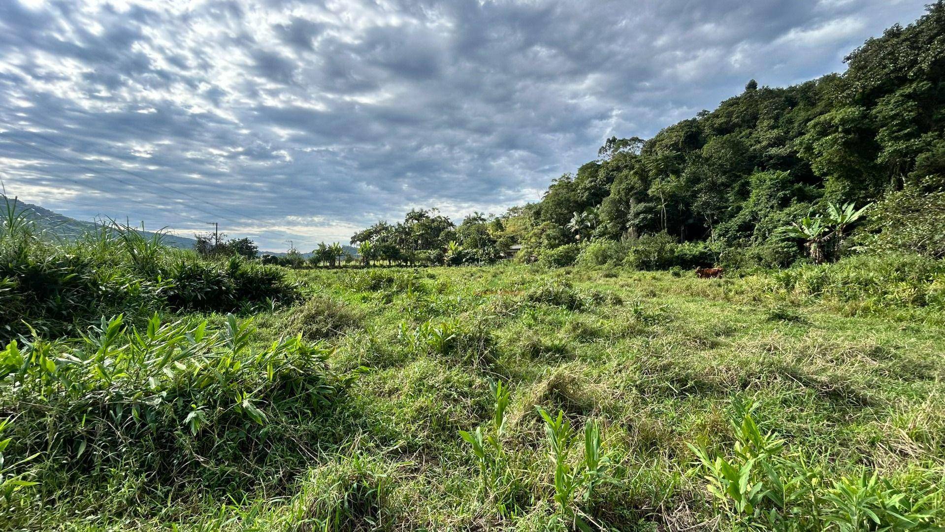 Terreno, 55 m² - Foto 7